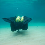 158471220_747399572835000_2393081015049475510_n